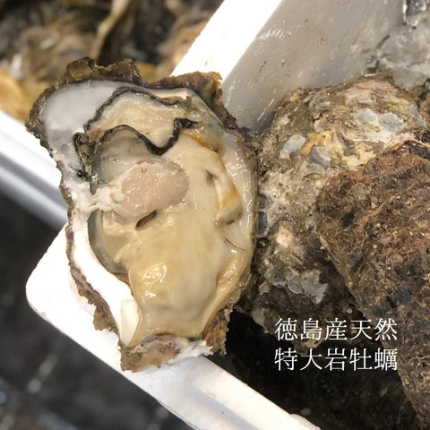 徳島県鳴門産 天然岩牡蠣 4個入り