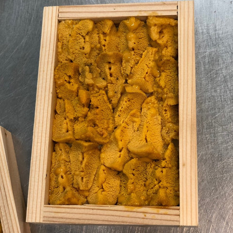 徳島県産　赤ウニ　okawari 豊洲市場 豊洲直送 鮮魚通販