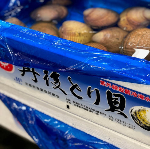 京都産 特大トリ貝