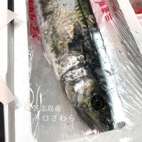 特上 トロさわら