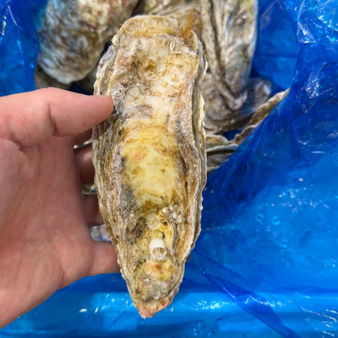 北海道仙鳳趾産 殻付き真牡蠣 個別写真2
