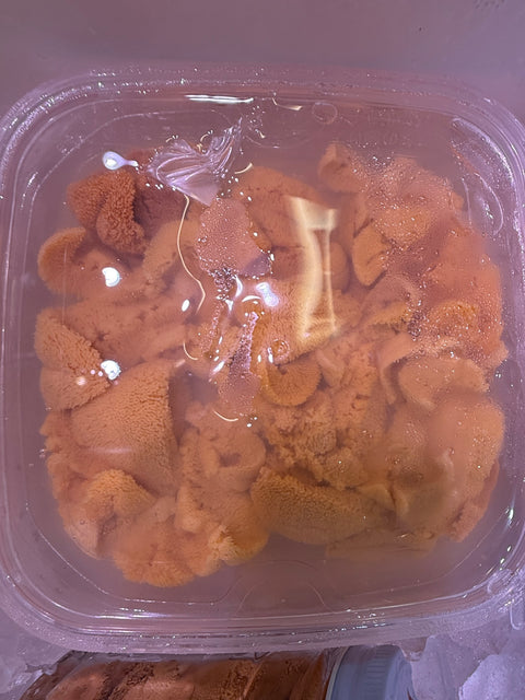 特選 アカウニ（塩水ウニ） 愛媛県今治産 100g【今治塩水ウニ100g】豊洲直送 冷蔵