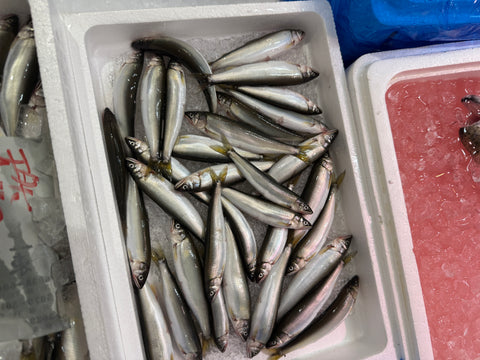 天然特選 稚鮎 琵琶湖 中/大サイズ 約500g 【琵琶湖チアユ（中/大）x1】冷蔵 豊洲直送