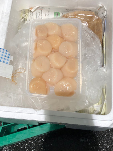 ムキホタテ 貝柱 特大サイズ 500g(12個前後) 北海道・三陸産 【ムキホ12玉】豊洲直送 冷蔵