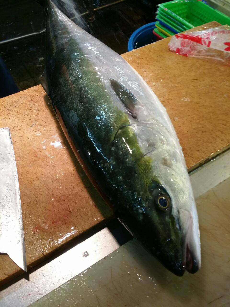 鮮魚通販［豊洲 Okawari鮮魚店］寒ブリ 天然ブリ 日本海産他