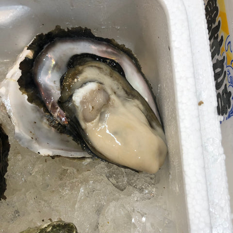 仙鳳趾産 殻付き牡蠣 生食用 小サイズ10個（1個約50-100g）豊洲直送 北海道産 カキ かき【仙鳳趾_小x10個】 冷蔵