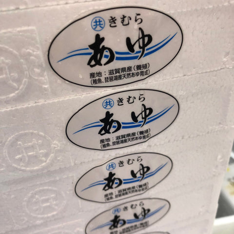 稚鮎10尾入 琵琶湖産 養殖チアユ【琵琶湖-養殖チアユ10尾】冷蔵 豊洲直送