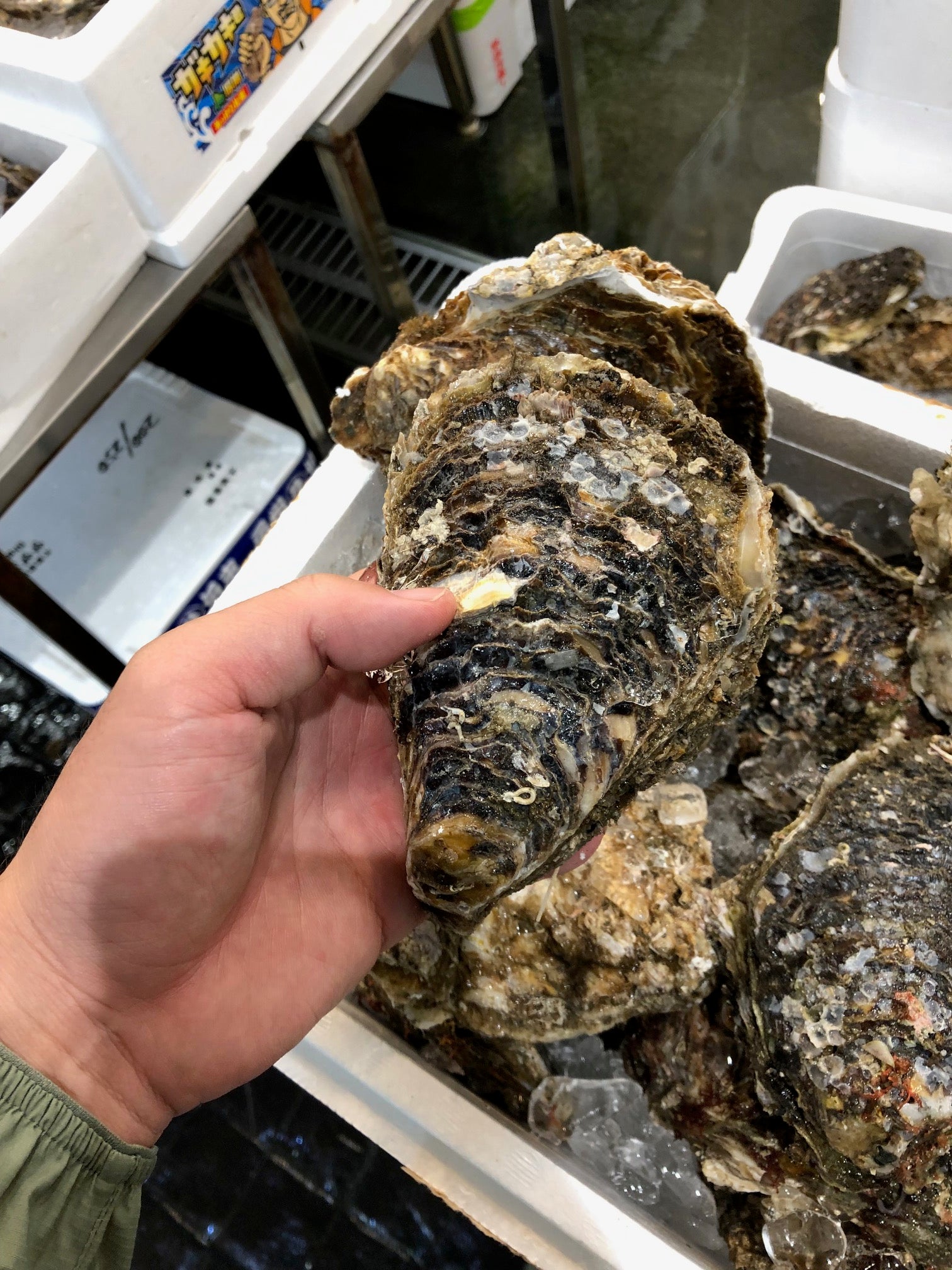 鮮魚通販［豊洲 Okawari鮮魚店］然岩牡蠣 鹿島・銚子産 【鹿島岩ガキ