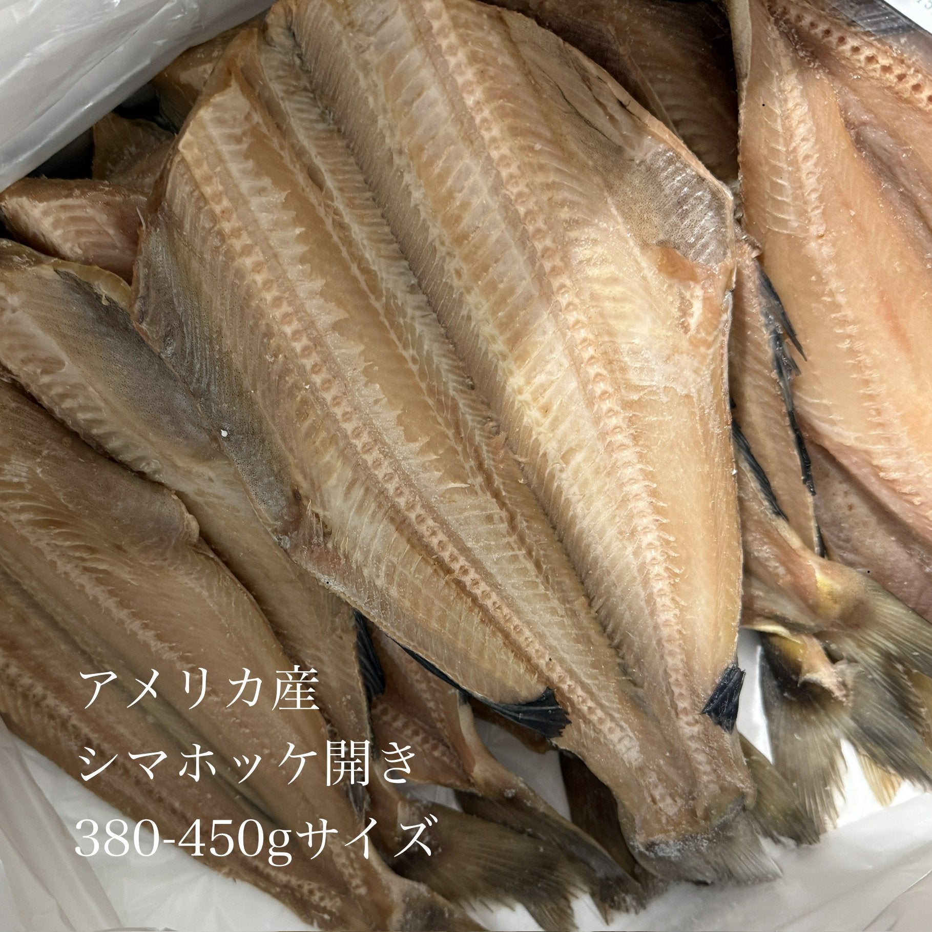 ほっけ 開き 干物 特大サイズ 1枚（約500g） 【特大ホッケ】 冷凍