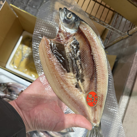 トロにしん 開き 北海道産 一夜干し 真空パック【豊洲市場仕入れ】トロニシン