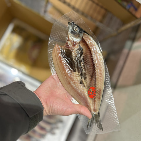 トロにしん 開き 北海道産 一夜干し 真空パック【豊洲市場仕入れ】トロニシン