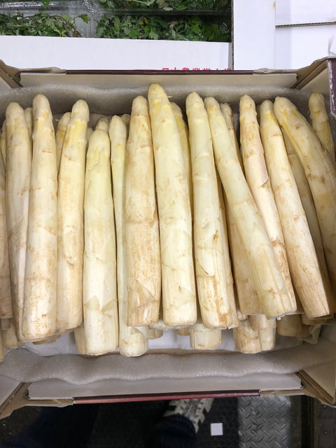 特大ホワイトアスパラ フランス産（直径28㎜～32㎜前後）1kg