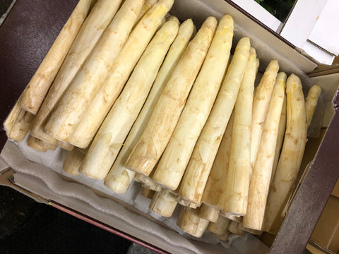 特大ホワイトアスパラ フランス産（直径28㎜～32㎜前後）1kg