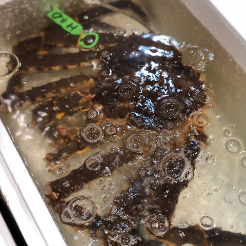 活 特大タラバガニ 2.7-3kg 北海道/ロシア産 【活タラバガニ2.7-3kg】冷蔵 豊洲直送