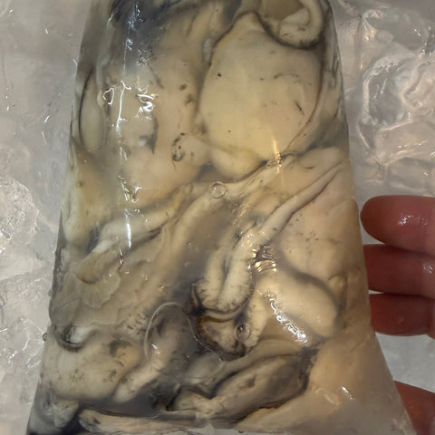 北海道厚岸産 生食用むき牡蠣500gのむき身｜豊洲Okawari鮮魚店