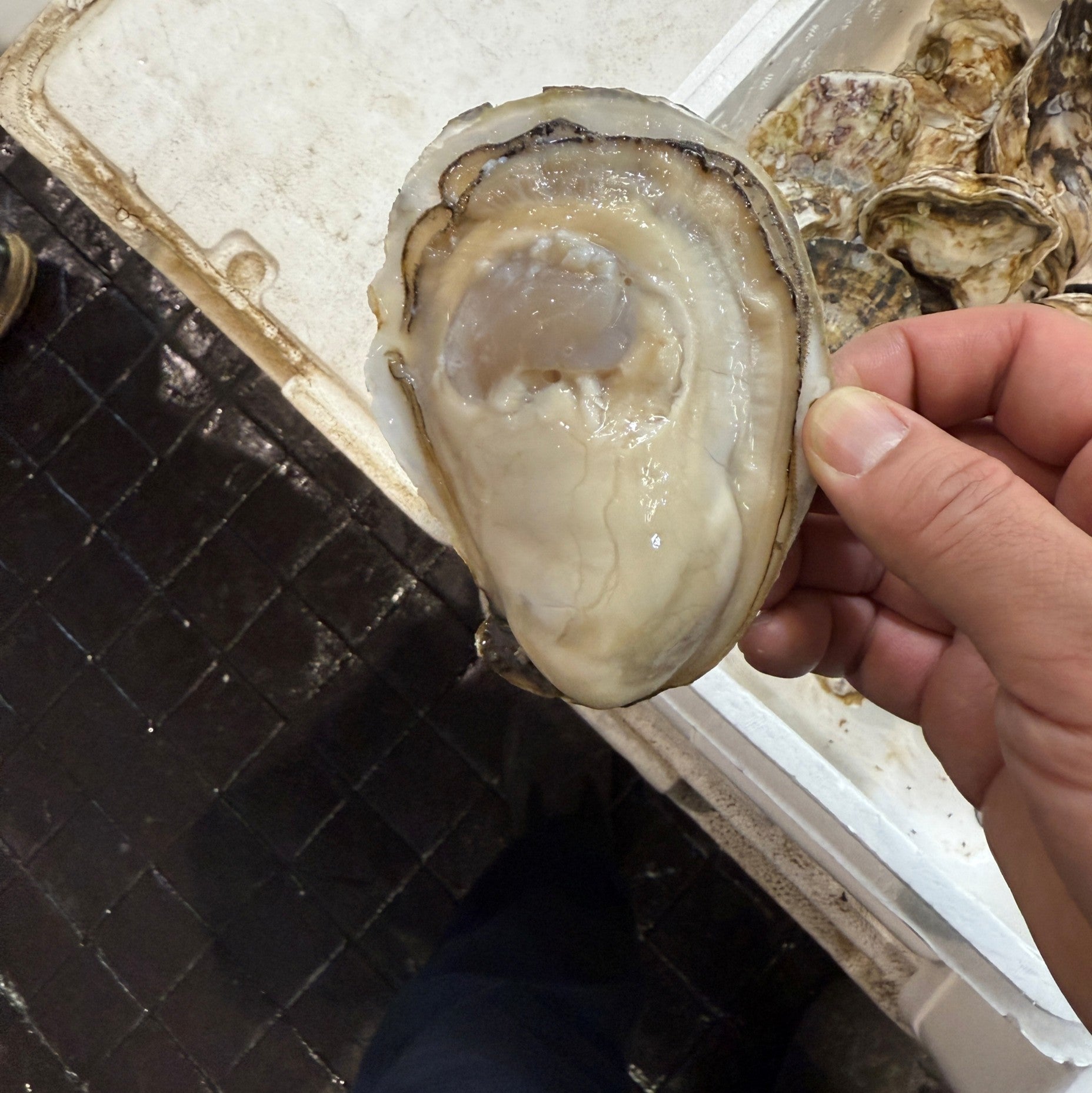鮮魚通販［豊洲 Okawari鮮魚店］殻付き牡蠣 佐賀県白石町 有明海産