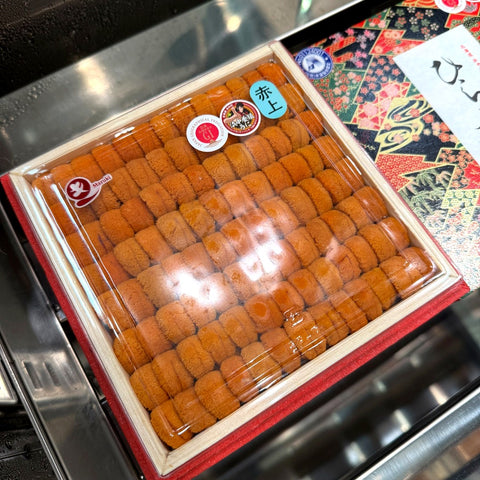 特上 ウニ 並び 北海道浜中産 バフンウニ 赤ウニ 約400g 大箱【浜中赤ウニ特大ｘ１】冷蔵