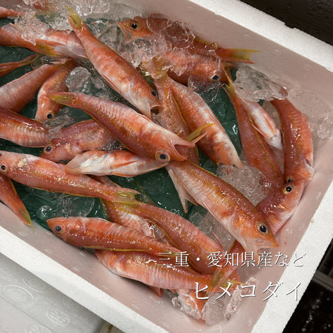 特選 ヒメコダイ 500g（1尾30-80g）愛知県・三重県など 釣りもの【姫子鯛500g】豊洲直送 冷蔵