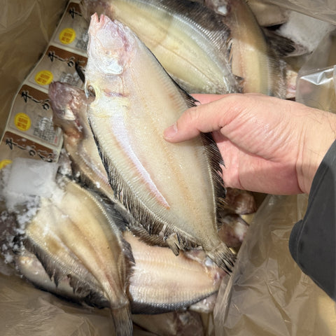 干しかれい（ヒレグロ）北海道産 低温熟成 豊洲直送 冷凍