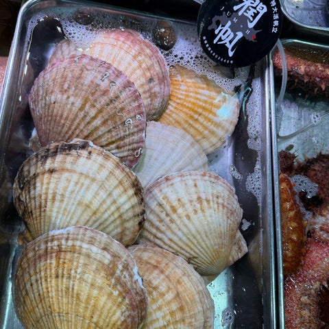 超特大ホタテ貝 殻付き 「潤帆（じゅんほ）」北海道野付産 2枚【ジュンホ 2枚入】豊洲直送 冷蔵