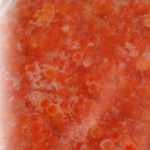 醤油漬けいくら イクラ 500g　豊洲直送 豊洲の目利きが選ぶ逸品 化粧箱入り 父の日 お中元 御中元 お歳暮 ギフト【醤油漬けイクラ５００ｇ】 冷凍