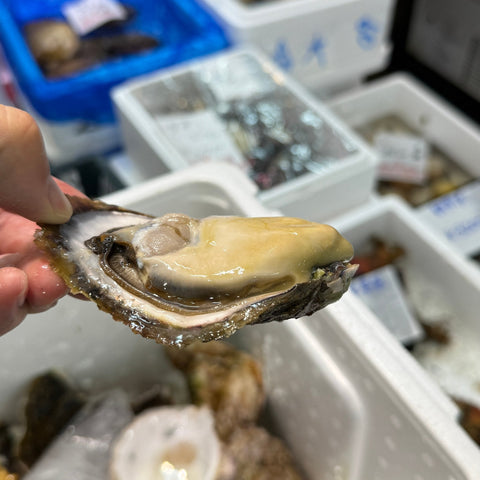 糸島岩牡蠣 5個入り 小中サイズ 商品写真 サブ2