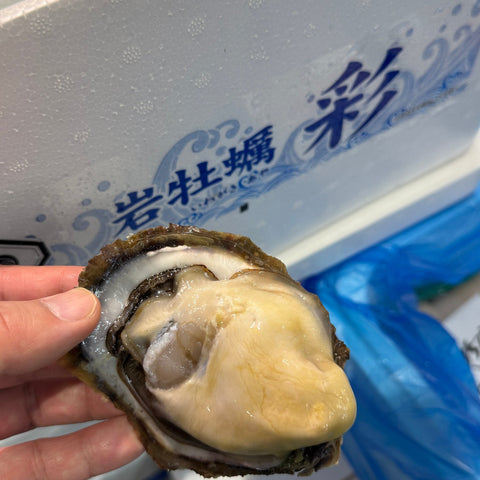糸島岩牡蠣 5個入り 小中サイズ 商品写真 サブ3