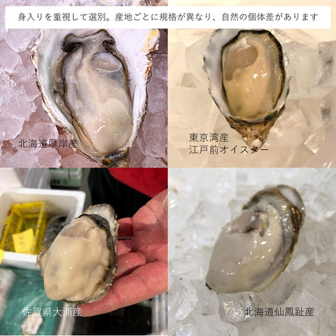 生食用 殻付き牡蠣 20個｜産地厳選おまかせ 豊洲直送 冷蔵