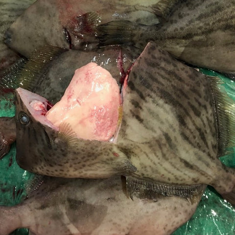 カワハギ  鮍 養殖 1尾約300g前後 長崎・大分県産 など 浜締め【ヨウハギ300g】冷蔵 豊洲直送