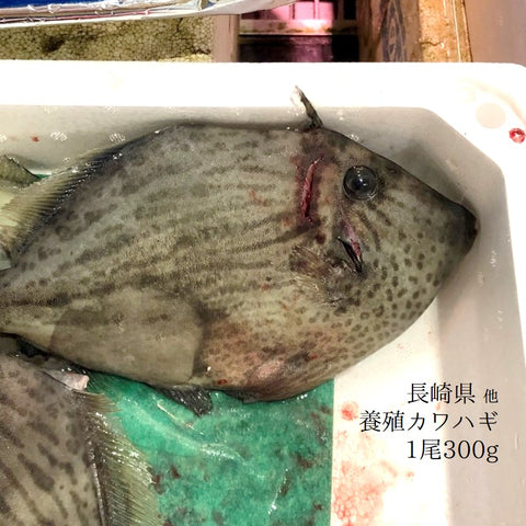 秋の白身魚