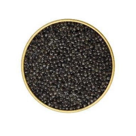 キャビア オシェトラ Langedor 50g フランス産