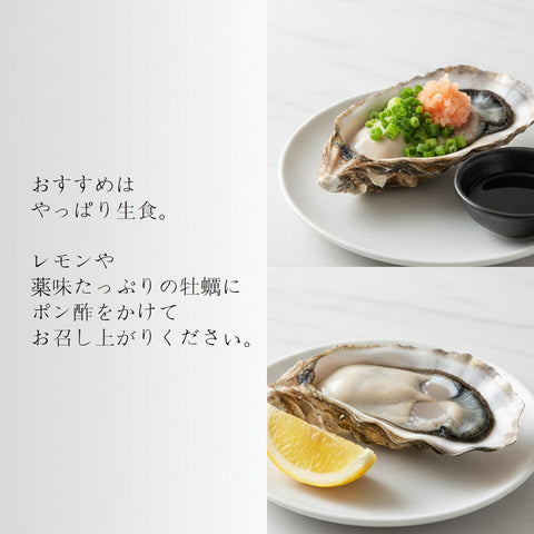 生食用 殻付き牡蠣 20個｜産地厳選おまかせ 豊洲直送 冷蔵