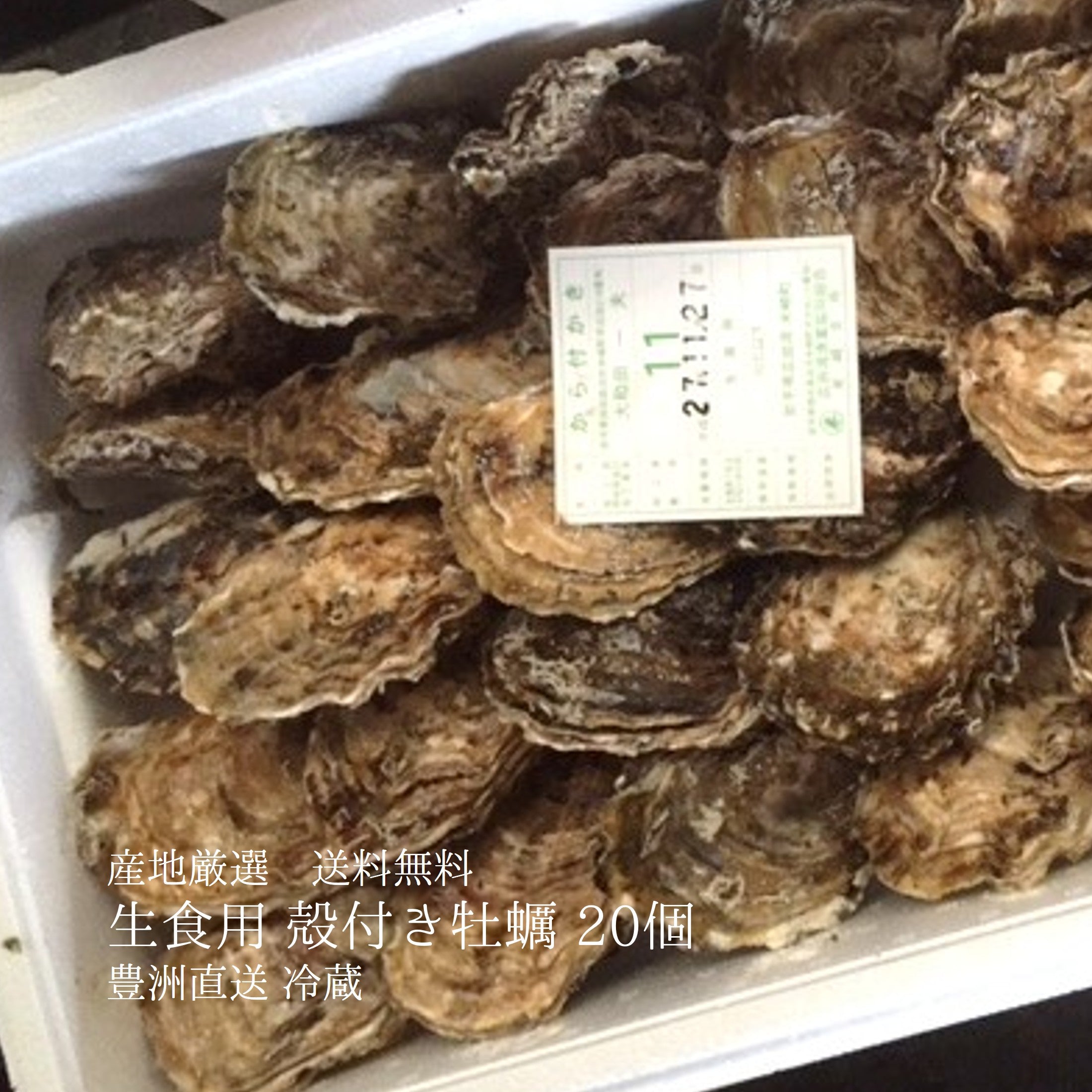 生食用 殻付き牡蠣 20個｜産地厳選おまかせ 豊洲直送 冷蔵