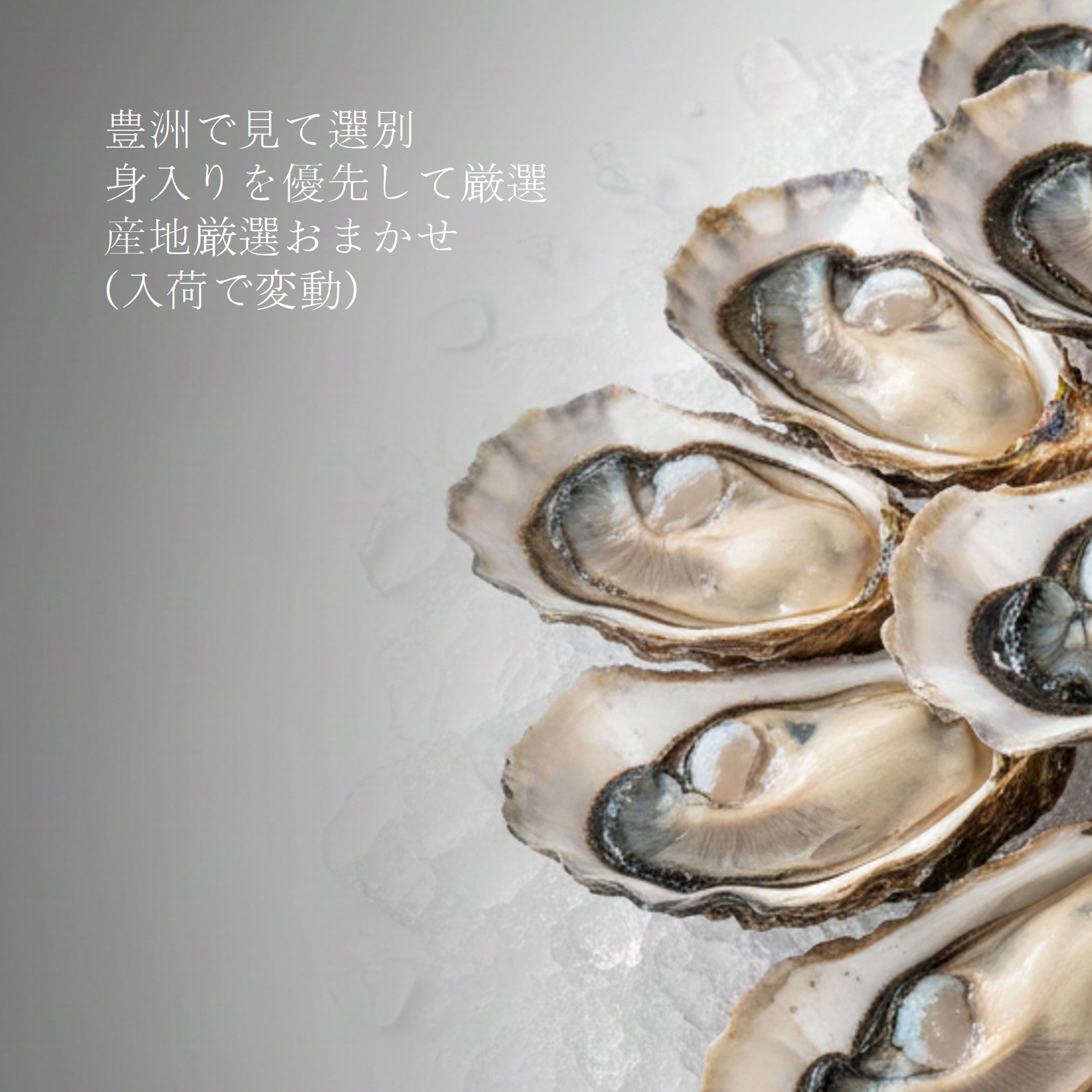 生食用 殻付き牡蠣 20個｜産地厳選おまかせ 豊洲直送 冷蔵