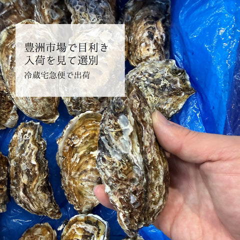 生食用 殻付き牡蠣 20個｜産地厳選おまかせ 豊洲直送 冷蔵