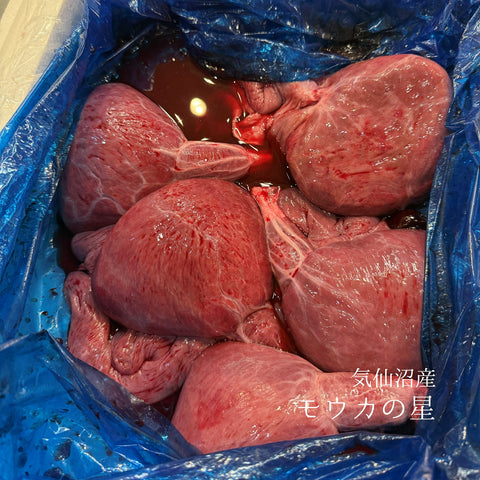 モウカの星 気仙沼産 500g【もうかの星500g】冷蔵 豊洲直送