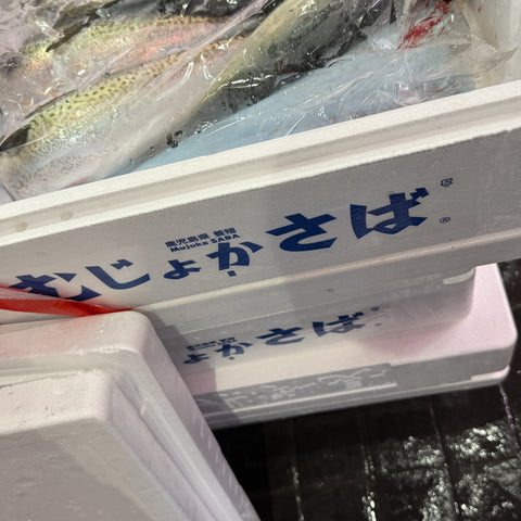 東町漁協ブランド「むじょかさば」の化粧箱