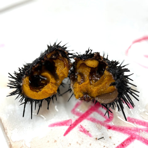 殻付きウニ イガウニ キタムラサキウニ 雲丹 宮城・岩手産 他 1個約80-100gｘ5個セット【ムラサキウニⅩ5個】冷蔵 豊洲直送