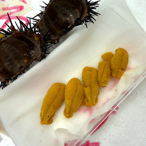 殻付きウニ イガウニ キタムラサキウニ 雲丹 宮城・岩手産 他 1個約80-100gｘ5個セット【ムラサキウニⅩ5個】冷蔵 豊洲直送