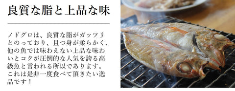 高級干物 のどぐろ 詰め合わせセット 小サイズ計6尾/440g 島根県・山口県産 贈答用 【ノドグロセット】 冷凍 喉黒 ギフト プレゼント