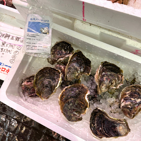 岩牡蠣 島根県隠岐の島産 養殖 特大 2個セット 冷蔵 豊洲直送