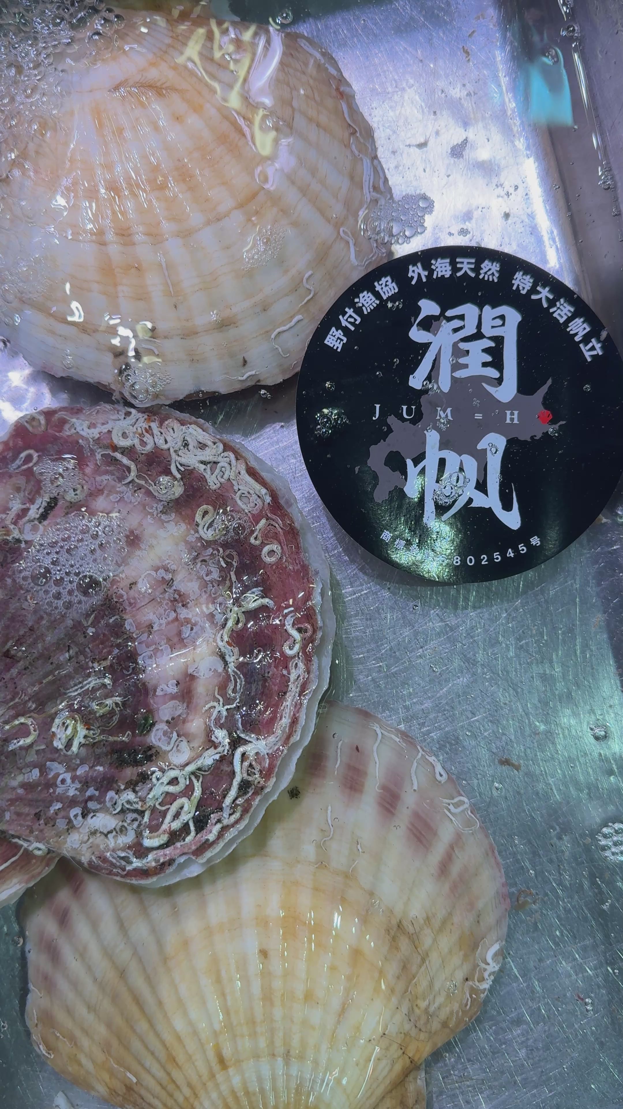 超特大ホタテ貝 殻付き 「潤帆（じゅんほ）」北海道野付産 2枚