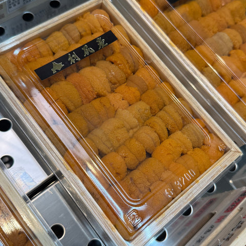 北海道利尻・礼文産 エゾバフンウニ 板並び250g 商品写真 サブ2