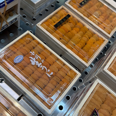 北海道利尻・礼文産 エゾバフンウニ 板並び250g 商品写真 サブ3