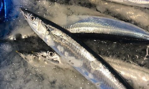 豊洲 Okawari 鮮魚店
