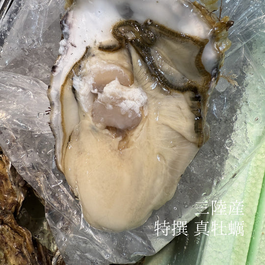 三陸産 殻付き真牡蠣 生食用 豊洲市場厳選 身入り重視 5個/10個/20個入り（1個/150-200g） 【三陸牡蠣150-200g】 冷蔵