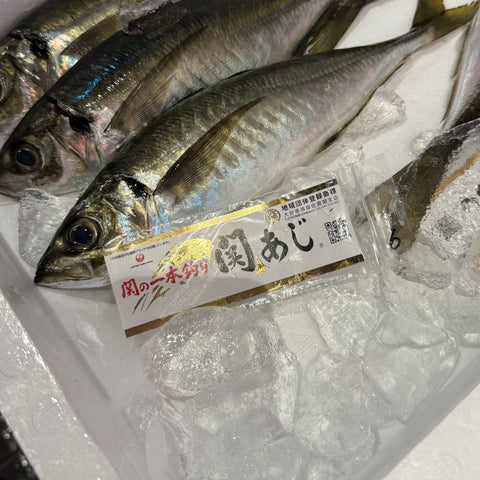 豊後水道産 関アジ 一本釣り産地証明ラベル