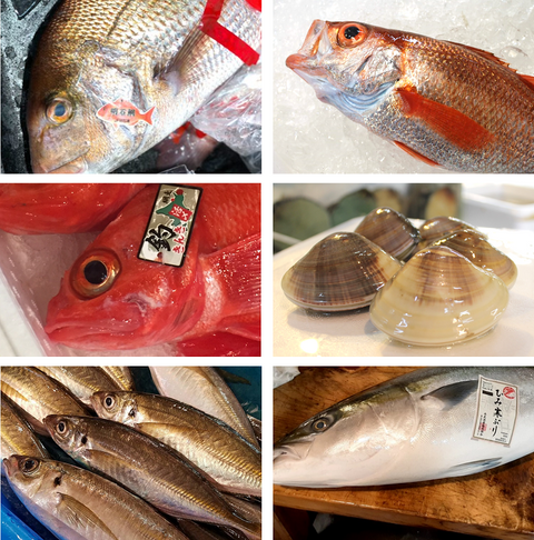 ご馳走鮮魚セット