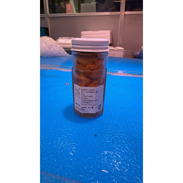 山口県周防大島産 天然アカウニ 塩水生ウニ60g｜豊洲直送 – 豊洲