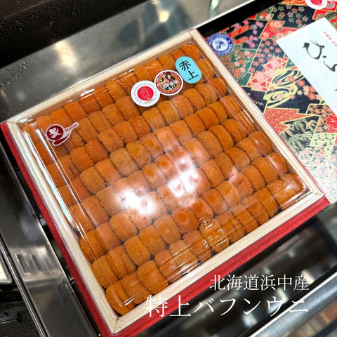 特上 ウニ 並び 北海道浜中産 バフンウニ 赤ウニ 約400g 大箱【浜中赤ウニ特大ｘ１】冷蔵